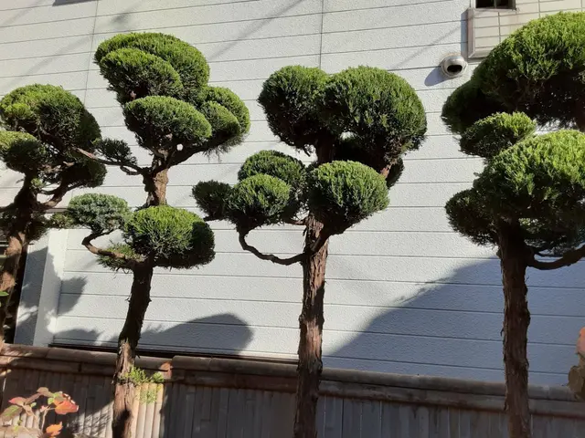 千葉県◆年中無休★植え込みや生垣が綺麗だと、お家が立派に見え、防犯にもなります。サービスの画像
