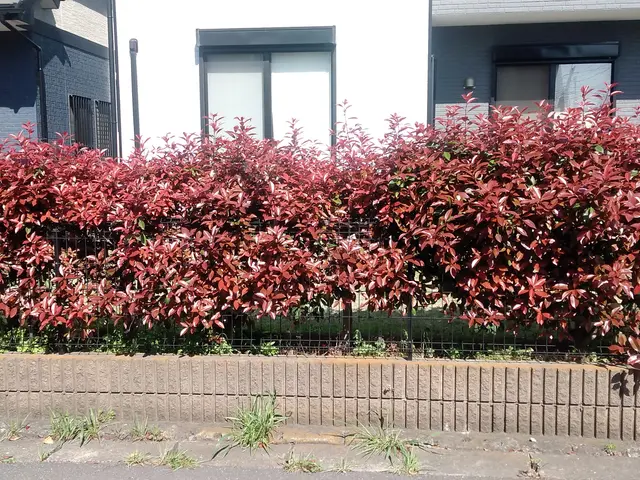 千葉県◆年中無休★植え込みや生垣が綺麗だと、お家が立派に見え、防犯にもなります。サービスの画像