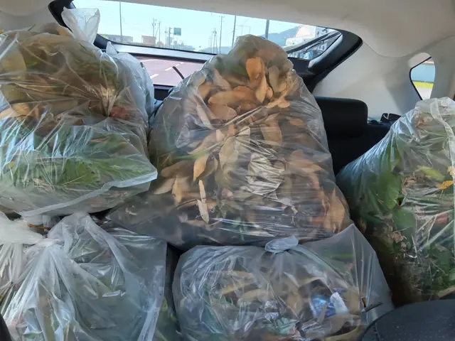 【立会不要】落ち葉掃きサービスの画像