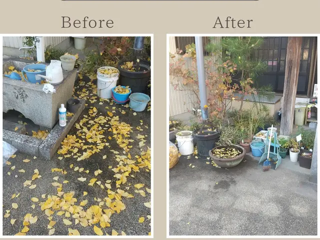 【立会不要】落ち葉掃きサービスの画像