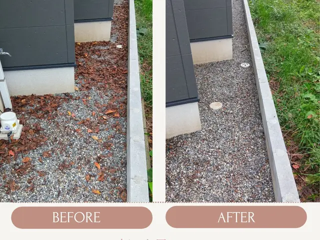 【立会不要】落ち葉掃きサービスの画像