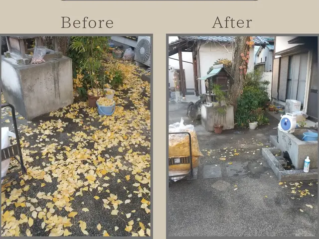 【立会不要】落ち葉掃きサービスの画像