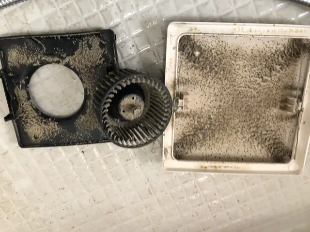 【新生活応援！】洗浄力に自信あり！追加費用一切無し！損害保険加入で安心☆サービスの画像