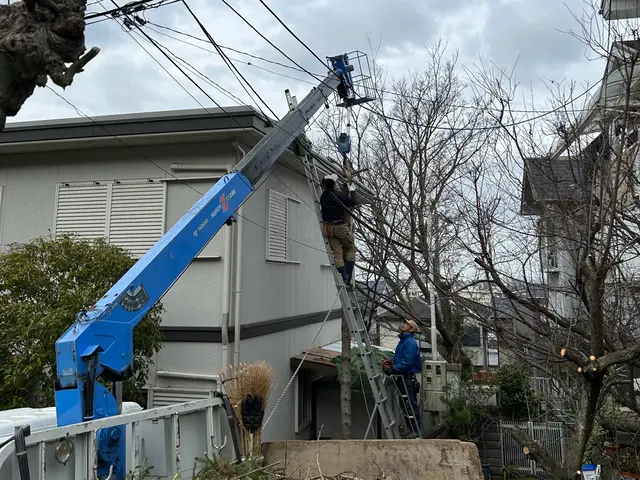 【2級造園技能士】庭師一筋15年以上！お庭のお困り事お任せください！サービスの画像