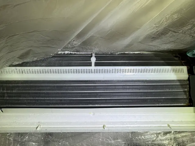 カビ臭い。生臭い。吐き出し口がホコリまみれ。その汚れ、しっかりキレイにいたしますサービスの画像