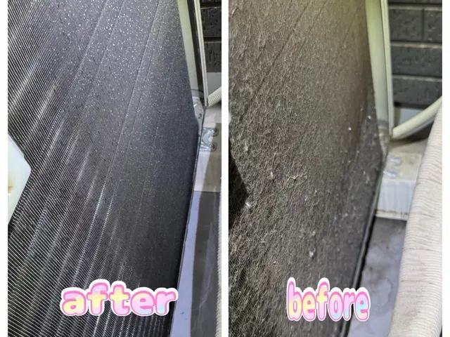 カビ臭い。生臭い。吐き出し口がホコリまみれ。その汚れ、しっかりキレイにいたしますサービスの画像