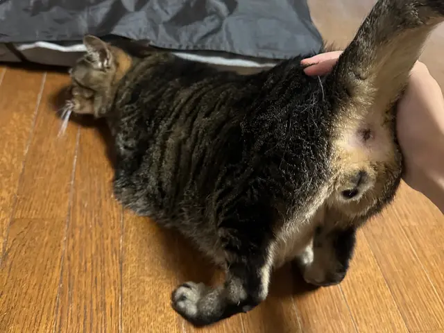 ｟特別価格実施中！｠★最安値でも安心・信頼していただけるサービスを提供します★サービスの画像