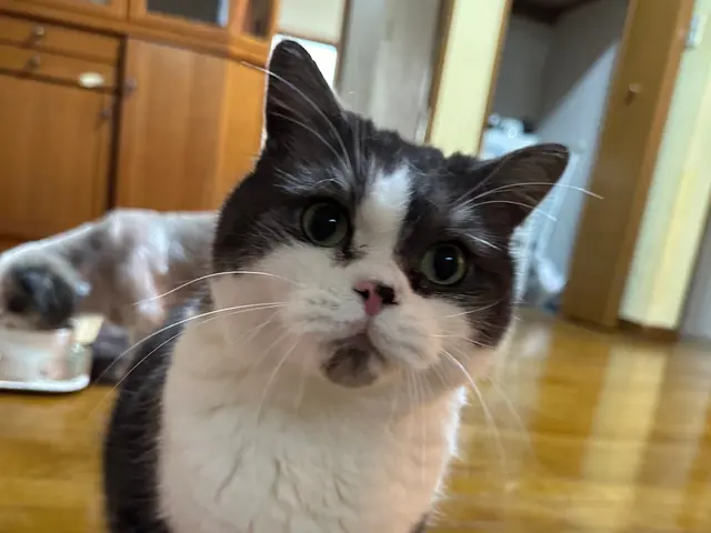 ｟特別価格実施中！｠★最安値でも安心・信頼していただけるサービスを提供します★サービスの画像