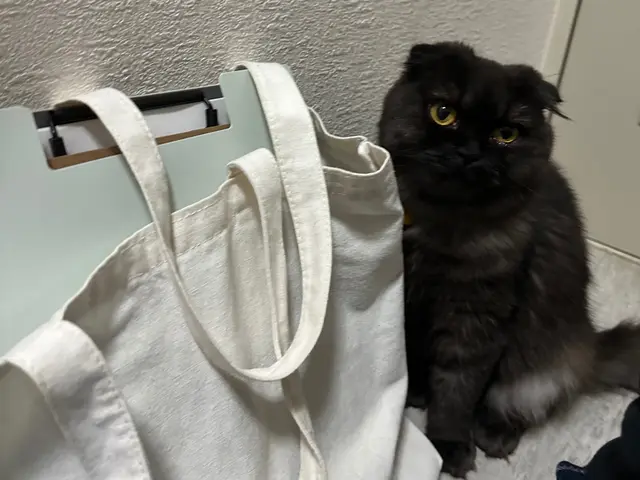 ｟特別価格実施中！｠★最安値でも安心・信頼していただけるサービスを提供します★サービスの画像