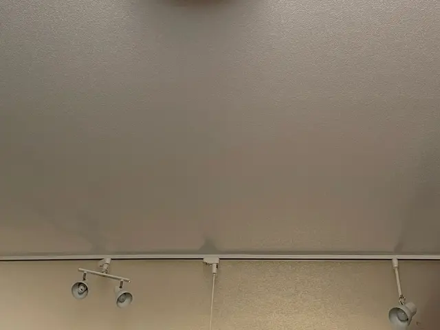 ☆高所の電球交換☆　LED　シーリングライト　蛍光灯　ダクトレール等サービスの画像