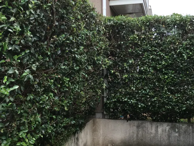 【完全自社施工】プロの技術でご満足いただけるように心を込めて作業いたしますサービスの画像