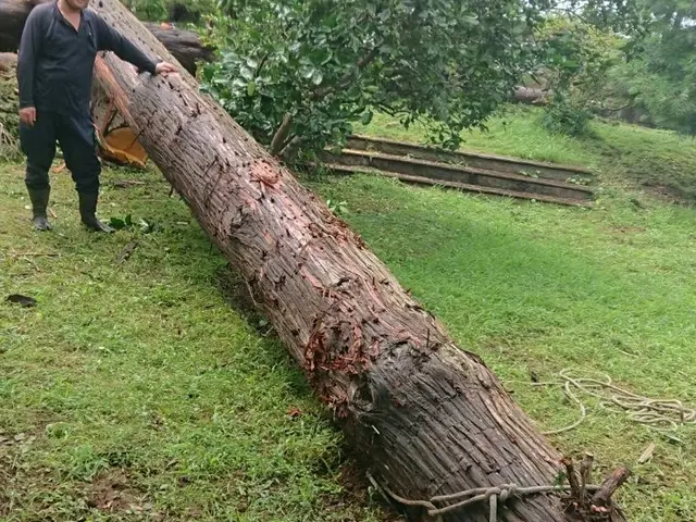 造園施工管理技士、業歴30年！ご予約枠残りわずかサービスの画像