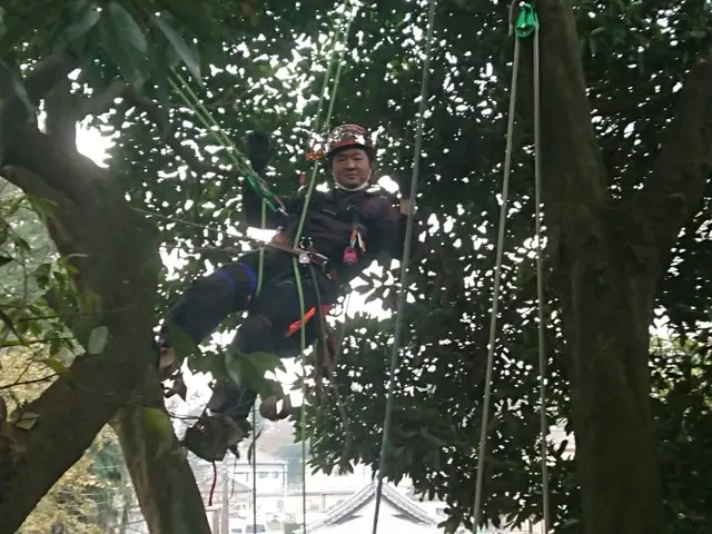 造園施工管理技士、業歴30年！ご予約枠残りわずかサービスの画像