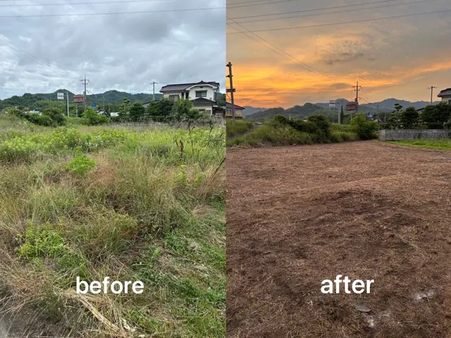 【24時間対応可能】雑草バスターズ◉安心の損害保険加入★スピーディーに草取りサービスの画像