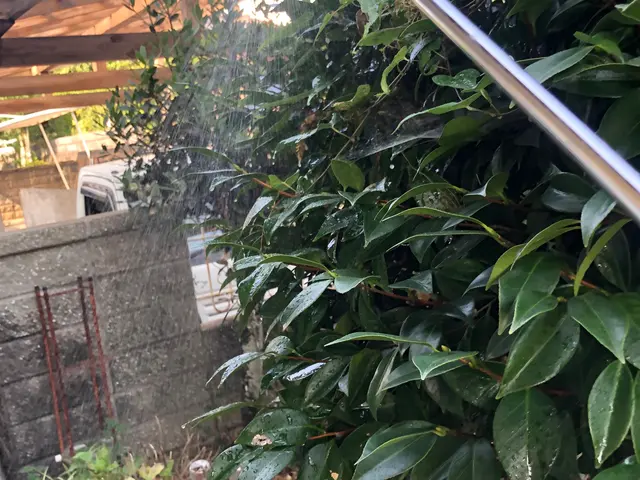 毛虫、茶毒蛾駆除サービスの画像