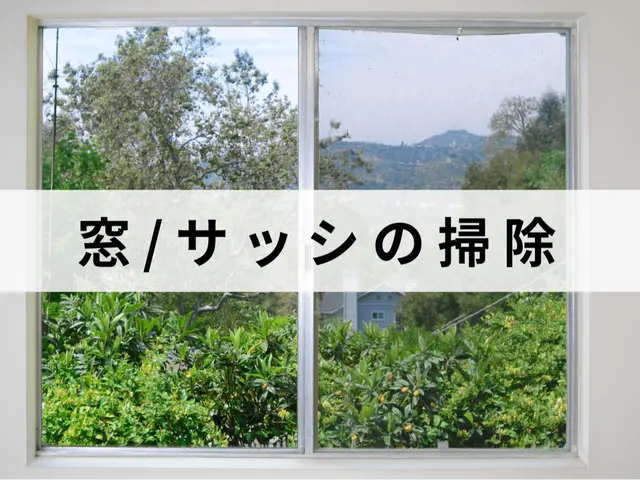 お悩み解決！窓・サッシの掃除はお任せ下さい！エリア外も対応可能な場合有り！サービスの画像