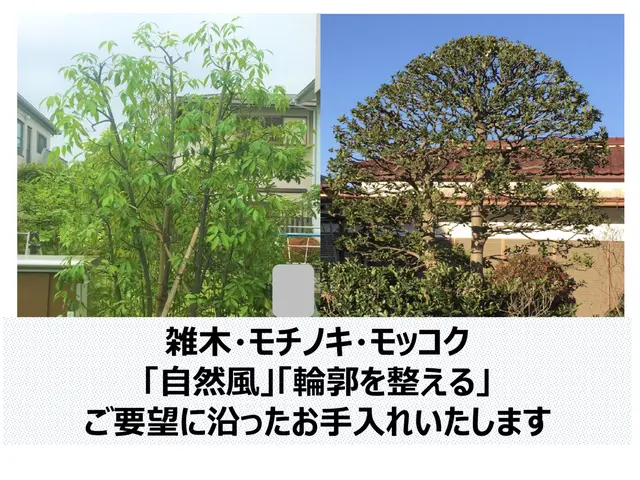 シンボルツリーを自慢の庭木へ！葉そよぐ。剪定YouTube出演★顧客満足度賞受賞サービスの画像