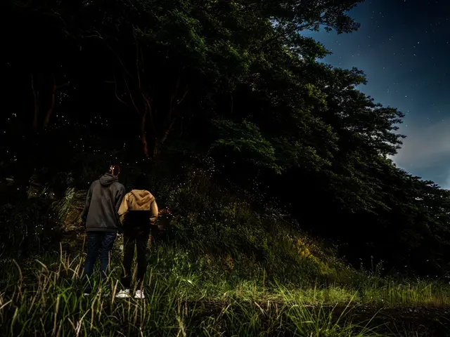 【家族写真】未来への財産作りのお手伝いをします【地元密着型フリーランス】