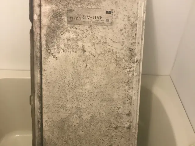 リピーター割引有！1K1R一人暮し割引有！お気軽にお問合せ下さい！サービスの画像