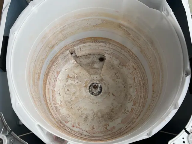 【洗濯機クリーニング】サービスの画像