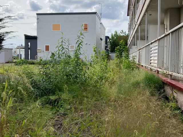 女性スタッフ同行可能！損害保険に加入済み◎すべて自社対応です。サービスの画像