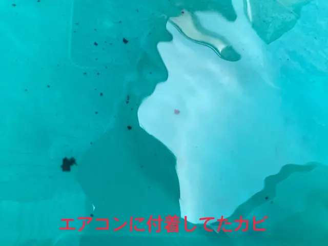 特許技術でエバポレーターを高圧洗浄！現地にて各種カード・QRコード決済可能！サービスの画像