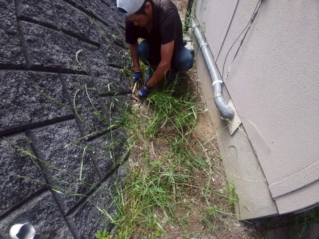 草むしり(庭、駐車場、敷地内)サービスの画像