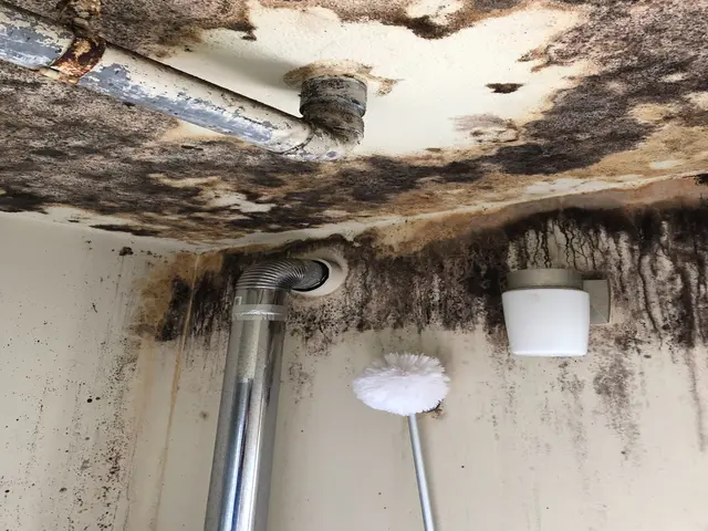 茨城県北【税込16000円！】小物・エプロン内込み♪損害保険加入済◎サービスの画像