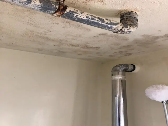 茨城県北【税込16000円！】小物・エプロン内込み♪損害保険加入済◎サービスの画像