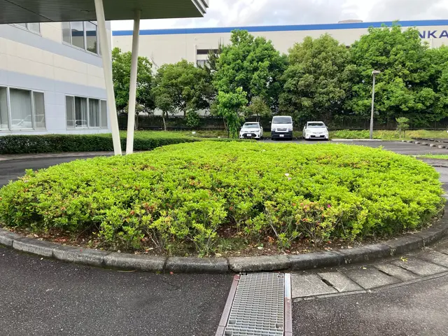 2000件以上の実績！緑地の健康と美しさを守る植物のプロサービスの画像