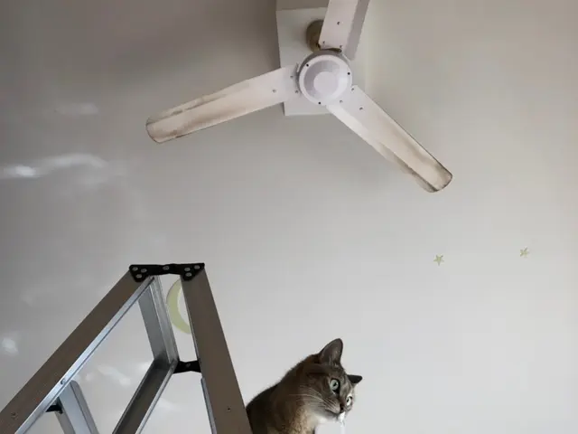 プロの技術で納得の仕上がりに！ご要望にお応えします。サービスの画像