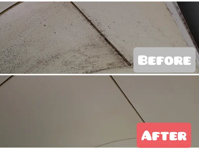 気持ちの良い新年度を迎えませんか？新生活応援致します！サービスの画像