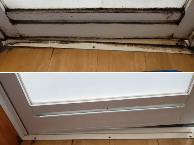 気持ちの良い新年度を迎えませんか？新生活応援致します！サービスの画像