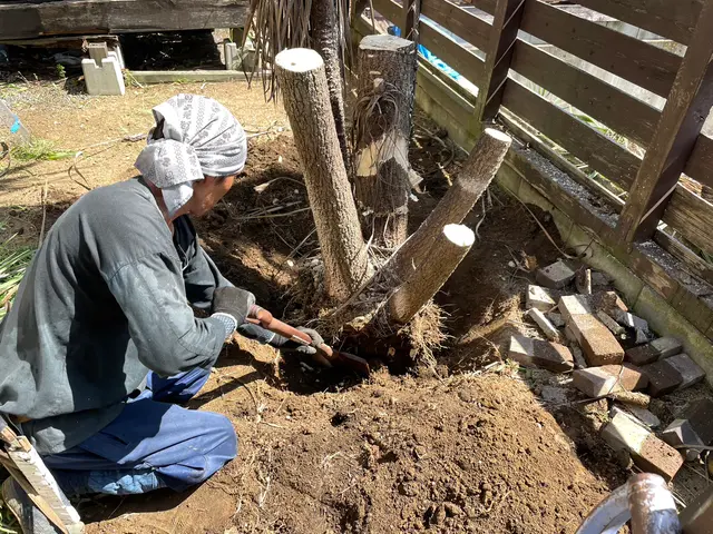 ★お庭にある樹木 伐採、抜根を丁寧、安全に行います。サービスの画像