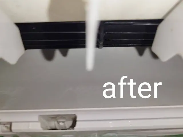 お子様やペットに安心なエコ洗剤使用☆写真や動画でご報告☆子育てママが丁寧なお掃除サービスの画像