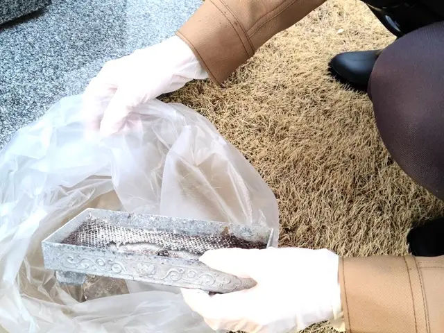 真心込めてのお参りとご満足頂けるお掃除をいたします。高圧洗浄機、持込可能です。サービスの画像