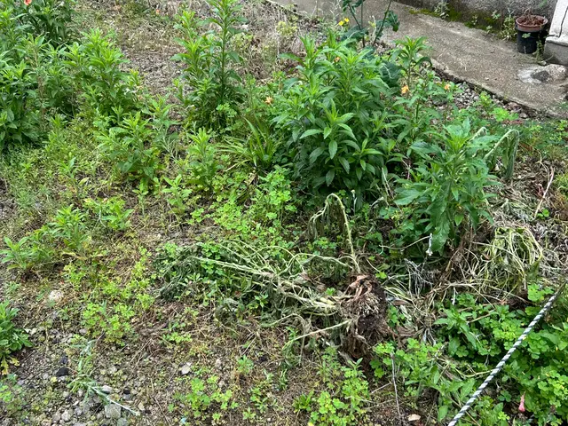 【業歴17年の実績】年中無休◎自社スタッフが迅速丁寧に対応いたしますサービスの画像