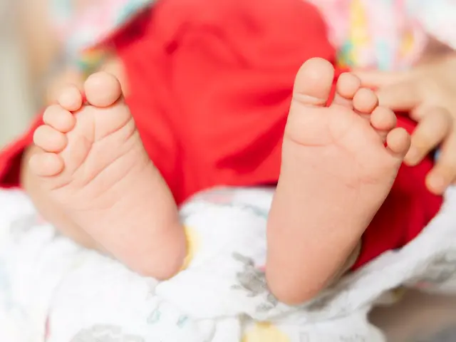 予約対応～撮影・納品まで当社スタッフがすべて対応します