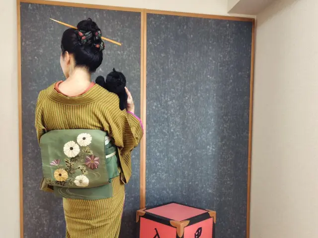 竹久夢二式美人に変身！日程はメッセージにて（着付け&着物一式小道具貸し出し付き）