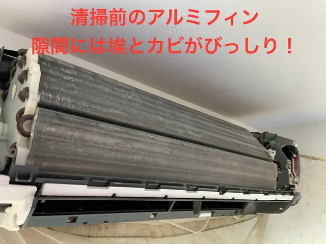 複数台割引あり！経験200件以上！丁寧な作業で汚れや匂いを落とします！サービスの画像