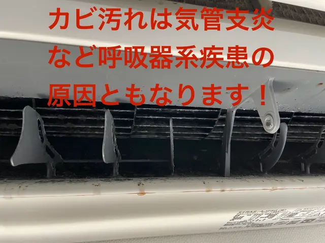複数台割引あり！経験200件以上！丁寧な作業で汚れや匂いを落とします！サービスの画像