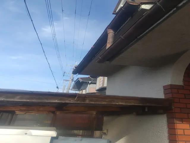 絡まった蔦を外しますサービスの画像