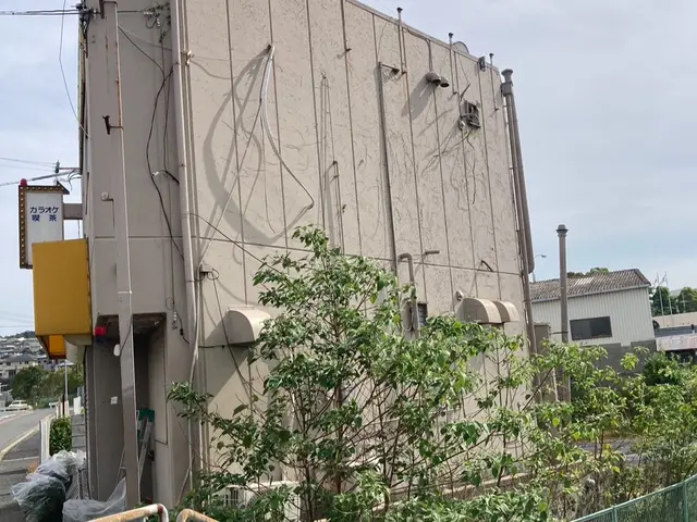 絡まった蔦を外しますサービスの画像