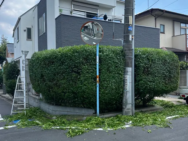 樹木の剪定◯お庭を綺麗にします！◯損害保険加入済み！◯サービスの画像