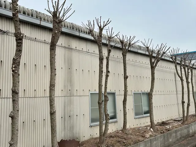 樹木の剪定◯お庭を綺麗にします！◯損害保険加入済み！◯サービスの画像