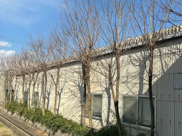 樹木の剪定◯お庭を綺麗にします！◯損害保険加入済み！◯サービスの画像