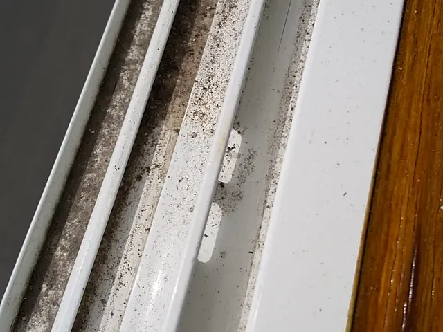 窓・サッシクリーニング【業歴20年の経験と実績】サービスの画像