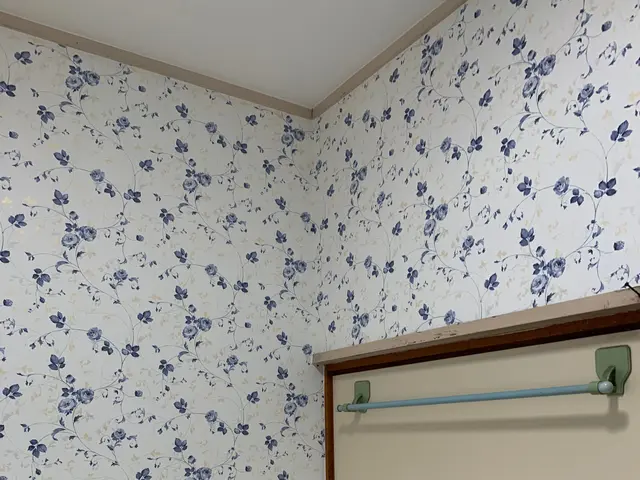 壁紙が変わるだけで気分もリフレッシュ！！　お任せください　輸入･国産といません！サービスの画像