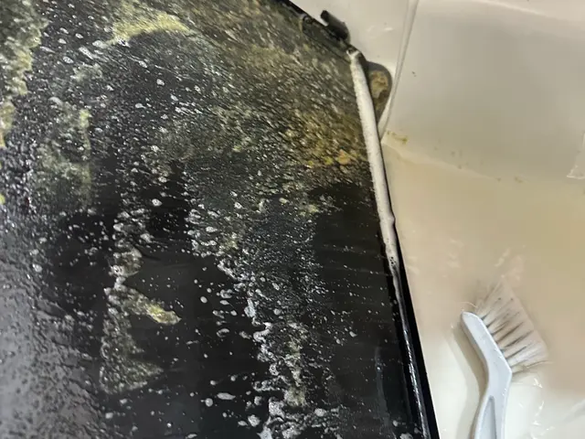 ☆その油汚れおかませください☆ガンコ汚れも安心クリーニング◎仕上がりに自信あり！サービスの画像