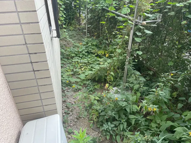 5年の実績！家族経営で安心・丁寧な仕上がりをお約束サービスの画像